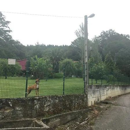 Quijano
